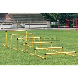 SP00574-84 - Prepona MACH visina 10-60 cm4